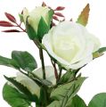 Floristik24 Stolní dekorace růže v květináči bílá 24cm