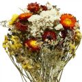 Floristik24 Kytice ze sušených květin Věčné květiny a mořská levandule 125g sušených květin
