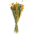 Floristik24 Kytice ze sušených květin Kytice z lučních květin 58cm