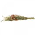 Floristik24 Kytice ze sušených květin obilovin a máku suchá dekorace 60cm 100g