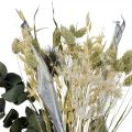 Floristik24 Kytice ze sušených květin bodlák eukalyptus sušené stříbro 64cm