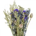 Floristik24 Kytice ze sušených květin Kytice z lučních květin modrá V50cm 100g