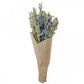 Floristik24 Kytice ze sušených květin Kytice z lučních květin modrá V50cm 100g