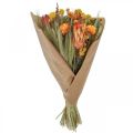 Floristik24 Kytice ze sušených květin Kytice z lučních květin Orange H50cm 300g