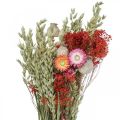Floristik24 Kytice ze sušených květin Kytice z lučních květin Červená V50cm 150g