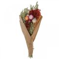 Floristik24 Kytice ze sušených květin Kytice z lučních květin Červená V50cm 150g