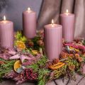 Sušená rákosová tráva, sušená dekorativní tráva, antická růže, 75 cm, 10 kusů | Floristik24.cz