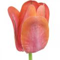 Floristik24 Tulipán umělá květina červená, oranžová Umělá jarní květina V67cm