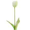 Floristik24 Tulipány krémové Real-Touch květinová dekorace L43,5cm 5ks