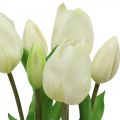 Floristik24 Umělé tulipány bílé krémové Real Touch 38cm 7ks