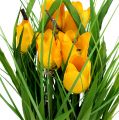 Floristik24 Tulipány ve žlutém květináči 30cm