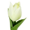 Floristik24 Jarní dekorace, umělé tulipány, hedvábné květiny, dekorativní tulipány zelené/krémové 12 kusů