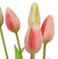 Floristik24 Tulipánový límec růžový skutečný nádech