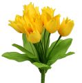 Floristik24 Tulipánový keř žlutý V30cm