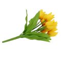 Floristik24 Tulipánový keř žlutý V30cm
