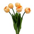 Floristik24 Kytice tulipánů meruňka 43cm