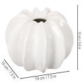 Dekorativní váza s dýní, lesklá, podzimní dekorace do obývacího pokoje, 19 cm | Floristik24.cz