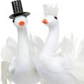 Floristik24 Nevěsta a ženich Vogel bílý 38cm