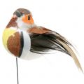 Floristik24 Mini ptáčci na drátě bílá/hnědá 5-7cm 16p