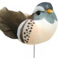 Floristik24 Dekorace ptáček, ptáčci na drátě, jarní dekorace modrá, hnědá V3,5cm 12ks