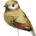 Floristik24 Pružina, ptáček na drátě, deko ptáčci přírodní barvy V7,5cm 12ks