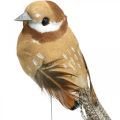 Floristik24 Pružina, ptáček na drátě, deko ptáčci přírodní barvy V7,5cm 12ks