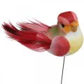 Floristik24 Pružina, ptáček na drátě, barevné květinové zátky V2,5cm 24ks