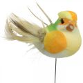Floristik24 Pružina, ptáček na drátě, barevné květinové zátky V2,5cm 24ks