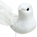 Floristik24 Bílé holubice, svatební, ozdobné holubice, ptáci na drátě V6cm 6ks