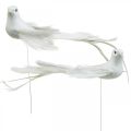 Floristik24 Bílé holubice, svatební, ozdobné holubice, ptáci na drátě V6cm 6ks