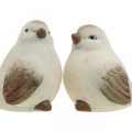 Floristik24 Keramičtí ptáčci jarní, dekorativní ptáčci bílá, hnědá V7/7,5cm 6ks