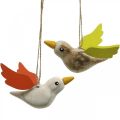 Floristik24 Deco ptáci dřevo na zavěšení ptačí jarní dekorace 10,5cm 6ks