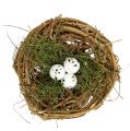 Floristik24 Ptačí hnízdo s vejci Ø9cm 6ks