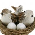 Floristik24 Ptačí hnízdo s vejci a ptáčkem 6ks