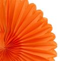 Floristik24 Voštinový papír květina oranžová Ø20cm 3ks