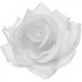 Floristik24 Vosková růže bílá Ø10cm Voskovaná umělá květina 6ks