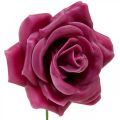 Floristik24 Voskové růže deco růže vosk růžové Ø8cm 12ks