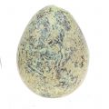 Floristik24 Křepelčí vejce sortiment zelená, příroda 3cm 62ks