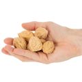 Vlašské ořechy na ozdobu, přírodní produkt, 3-4 cm, 300 g | Floristik24.cz