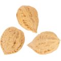 Vlašské ořechy na ozdobu, přírodní produkt, 3-4 cm, 300 g | Floristik24.cz