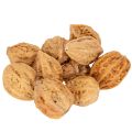 Floristik24 Vlašské ořechy, přírodní produkt pro dekoraci stolu a kutilské projekty. Přírodní vlašské ořechy, 4-5 cm, 300 g.