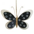 Floristik24 Wall Art Butterfly Deco Black White Gold Metal 15cm
