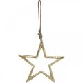 Floristik24 Vánoční dekorace hvězda, adventní dekorace, přívěsek hvězda Zlatá B15,5cm
