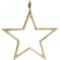 Floristik24 Vánoční dekorace hvězda, adventní dekorace, přívěsek hvězda Zlatá B24,5cm