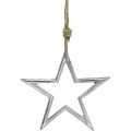 Floristik24 Vánoční dekorace hvězda, adventní dekorace, přívěsek hvězda stříbrná Š15,5cm