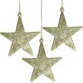 Floristik24 Vánoční dekorace přívěsek hvězda zlatý třpyt 10cm 12ks