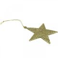 Floristik24 Vánoční dekorace přívěsek hvězda zlatý třpyt 10cm 12ks