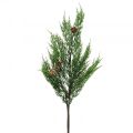 Floristik24 Větve cypřiše umělá vánoční větev s šiškami 78cm