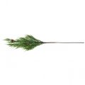 Floristik24 Větve cypřiše umělá vánoční větev s šiškami 78cm