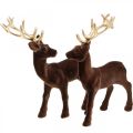 Floristik24 Vánoční dekorace jelen k umístění hnědá, zlatá 20cm 2ks